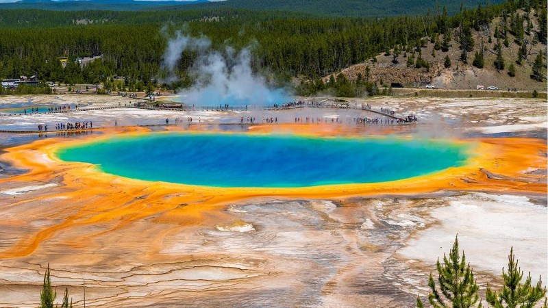 Wild and beautiful at the same time: an amazing trip to Yellowstone!